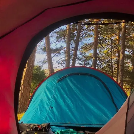 Kamp Arsenal Fest 24